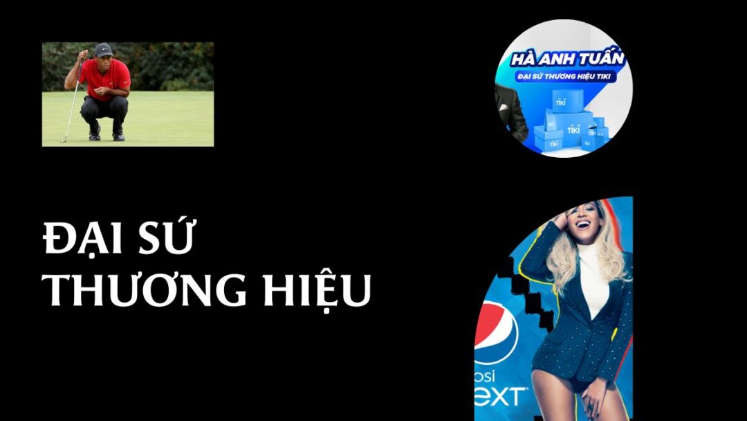 Đại sứ thương hiệu