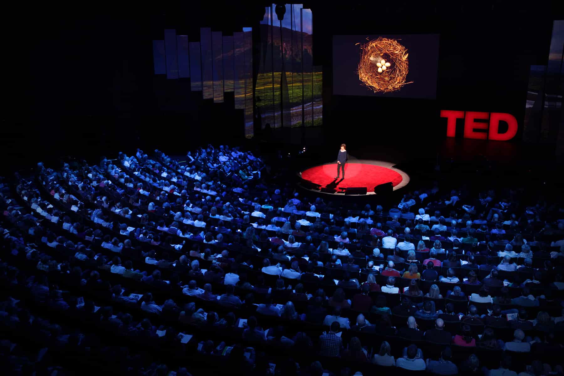 Sự kiện Tầm nhìn và Phát triển (TED Talks)